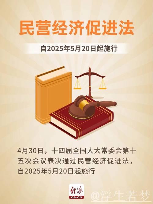 依法护航民营经济发展——民营经济促进法施行纪实