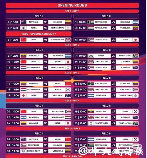 世界杯投注平台选择指南：玩转世界杯必备