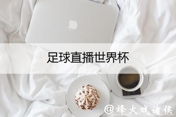 多语言世界杯直播平台推荐